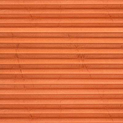 Image: MTP24.jpg