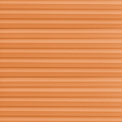 Image: MT1204.jpg