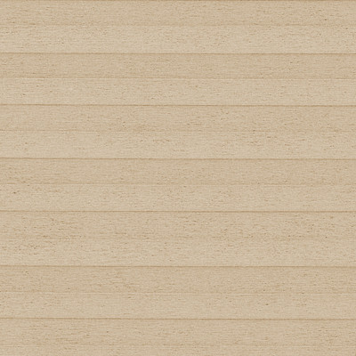 Image: MTMO75304.jpg