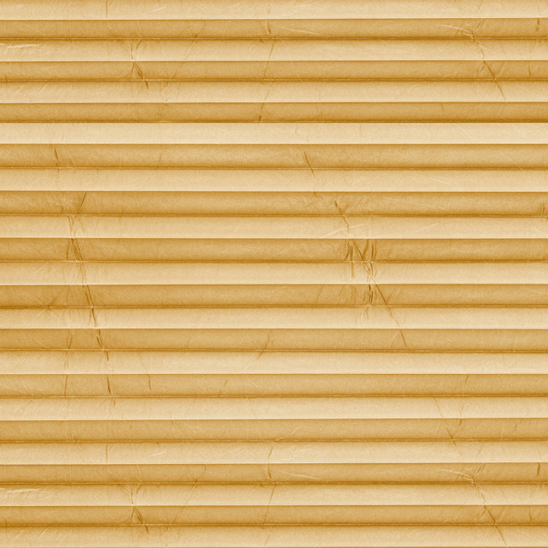 Image: MTP23.jpg