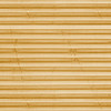 Image: MTP23.jpg