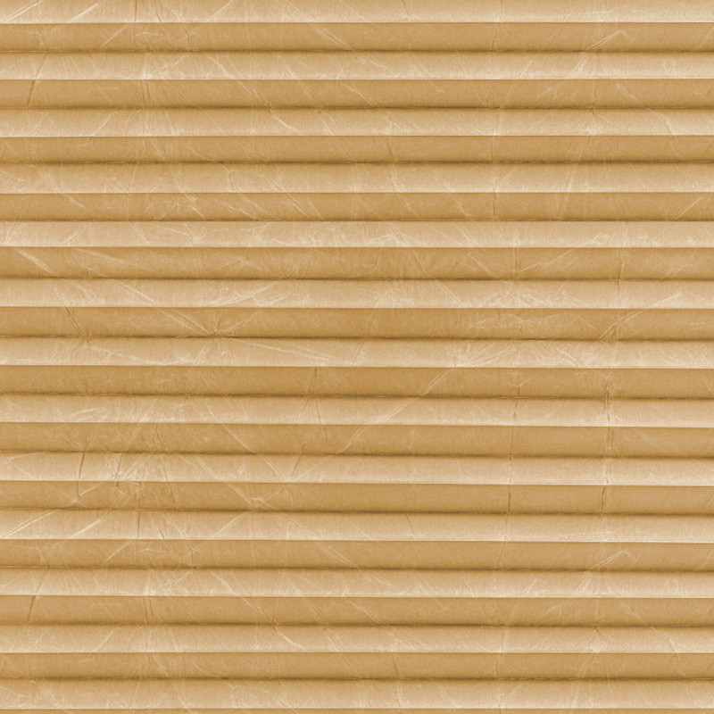 Image: MTCP207.jpg